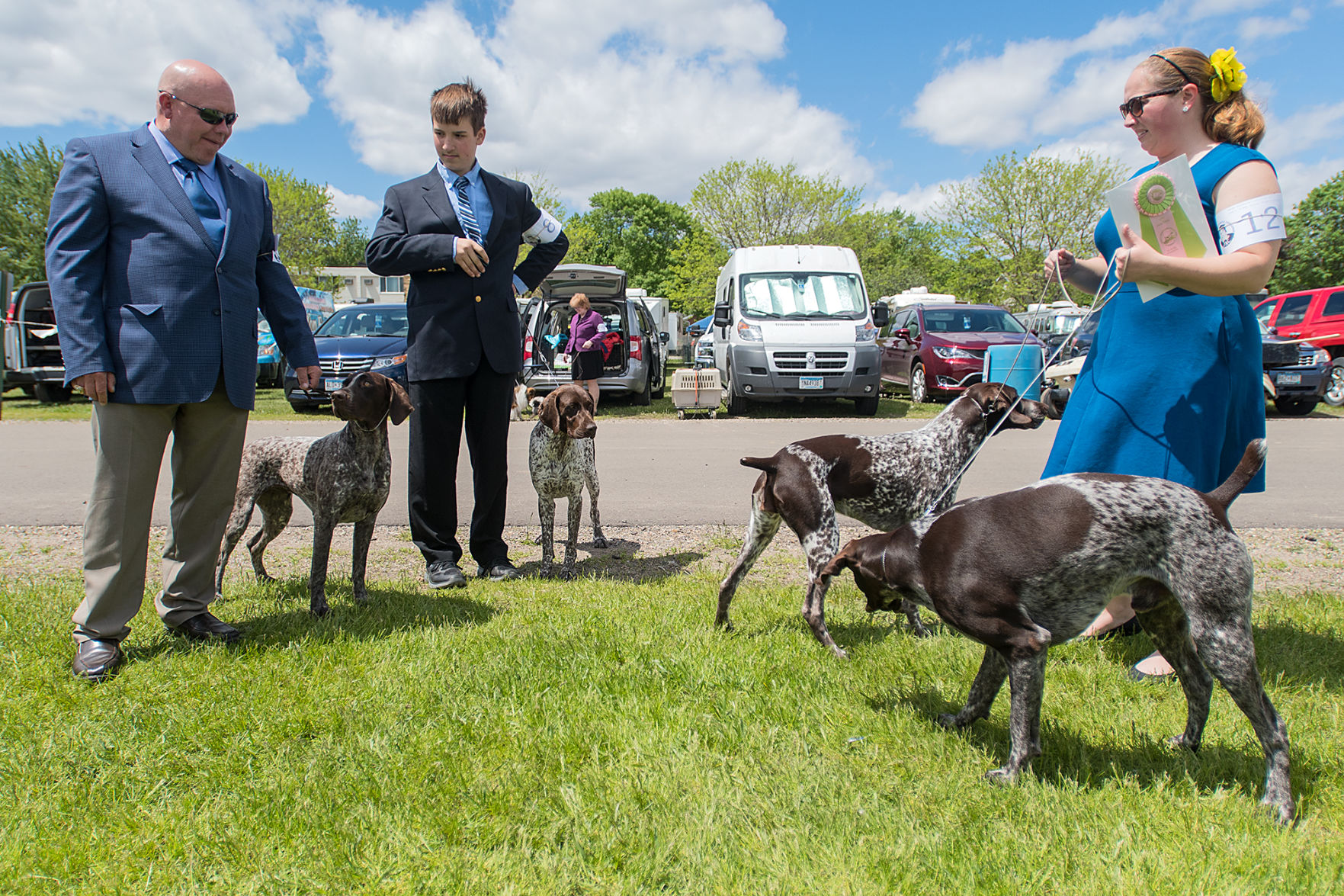 Dog Show 8